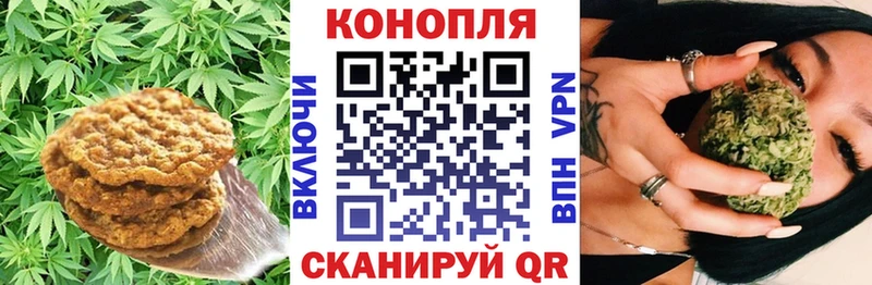 Canna-Cookies конопля Бородино