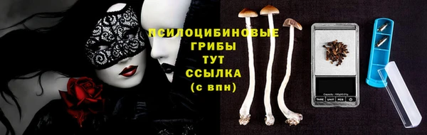 дурь Белокуриха
