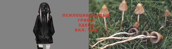 гашишное масло Беломорск