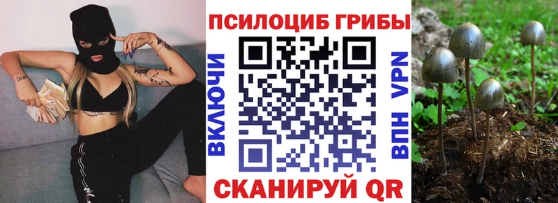 Галлюциногенные грибы ЛСД Бородино